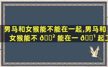 男马和女猴能不能在一起,男马和女猴能不 🌲 能在一 🌹 起工作